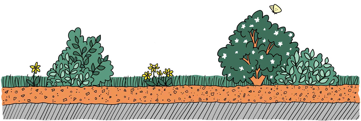 Link-Garten-intensiv-substrat
